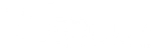 VT Group Real Estate Services